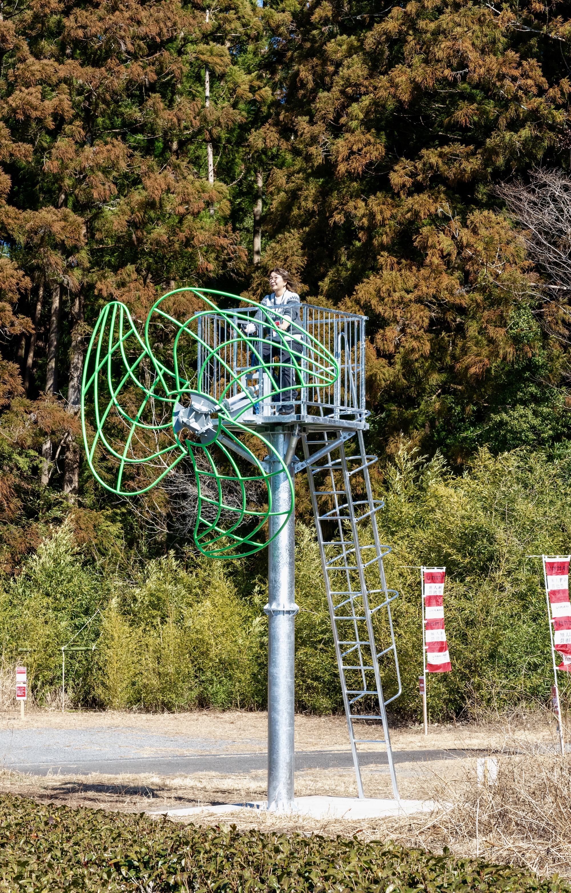 茶畑のサイクリスト